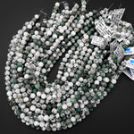 Matte Natural Green Tree Agate 4mm 6mm 8mm 10mm Round Beads 15.5" Strand
