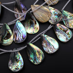 Real Natural Abalone Shell Beads Mermaid Shards Side Drilled Teardrop Rainbow Iridescent Peacock Blue Green Pink 15.5" Strand