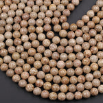 Natural Fossil Crinoid Round Beads 4mm 6mm 8mm 10mm Earthy Brown Beige Tan Gemstone 15.5" Strand