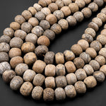 Genuine Fossilized Stegodon Stone Beads Graduated Earthy Gray Beige Slate Brown 24" Strand