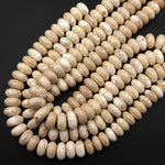 Large Natural White Turquoise Magnesite Beads 22mm Smooth Rondelle Wheel Almond Brown 15.5" Strand