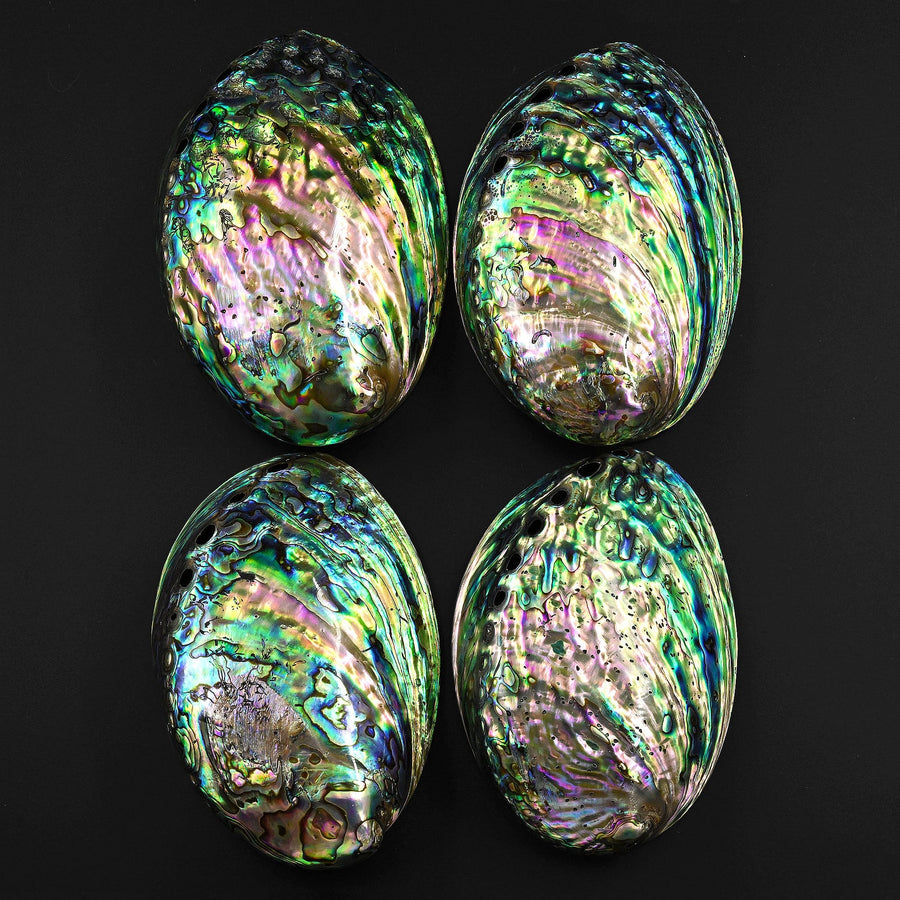 AAA+ Natural Abalone Shell Dish Rainbow Iridescence Ritual Decor Beach House Seashell