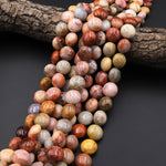 Natural Orange Red Yellow Fossil Coral Beads Coin 14mm Gemstone 15.5" Strand