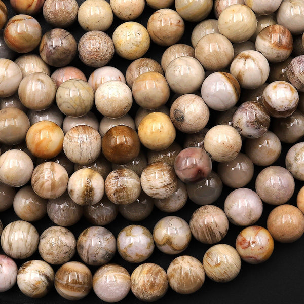 Natural Beige Petrified Wood Beads 6mm Smooth Round Beads 15.5" Strand