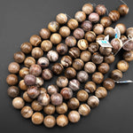 Large Natural Petrified Wood Beads Fossil 18mm Round Beads Earthy Beige Gemstone 15.5" Strand
