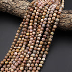 Natural Earthy Beige Pink Brown Gray Petrified Wood Beads 6mm Smooth Round Beads 15.5" Strand