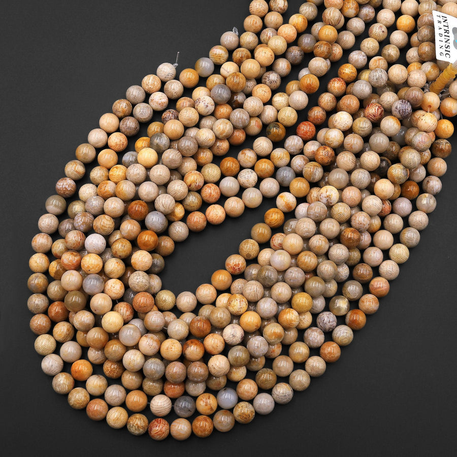 Natural Fossil Coral Round Beads 4mm 5mm 6mm 7mm 8mm 9mm 10mm 12mm Vibrant Orange Brown Tan Beige Beads 15.5" Strand