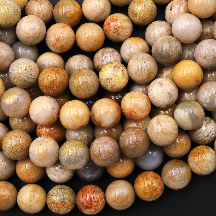 Natural Fossil Coral Round Beads 4mm 5mm 6mm 7mm 8mm 9mm 10mm 12mm Vibrant Orange Brown Tan Beige Beads 15.5" Strand