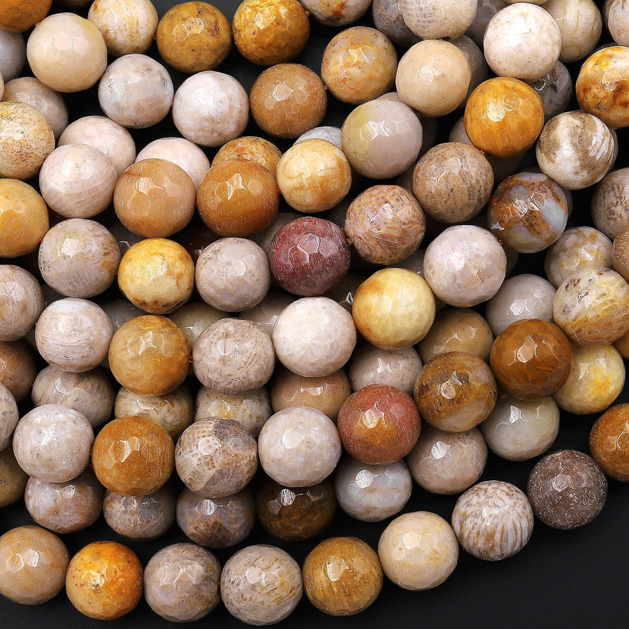 Faceted Natural Fossil Coral Round Beads 6mm 8mm 10mm 12mm Brown Tan Beige Beads 15.5" Strand