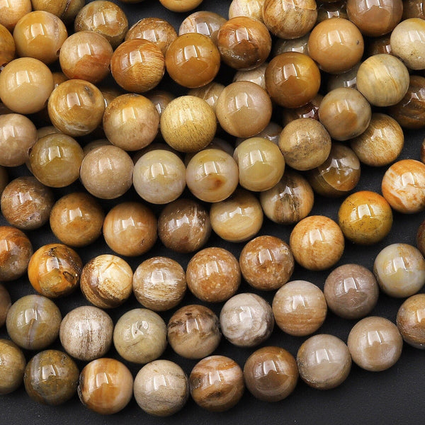 Natural Brown Petrified Wood Beads 6mm 8mm Smooth Gemstone Round Beads 15.5" Strand