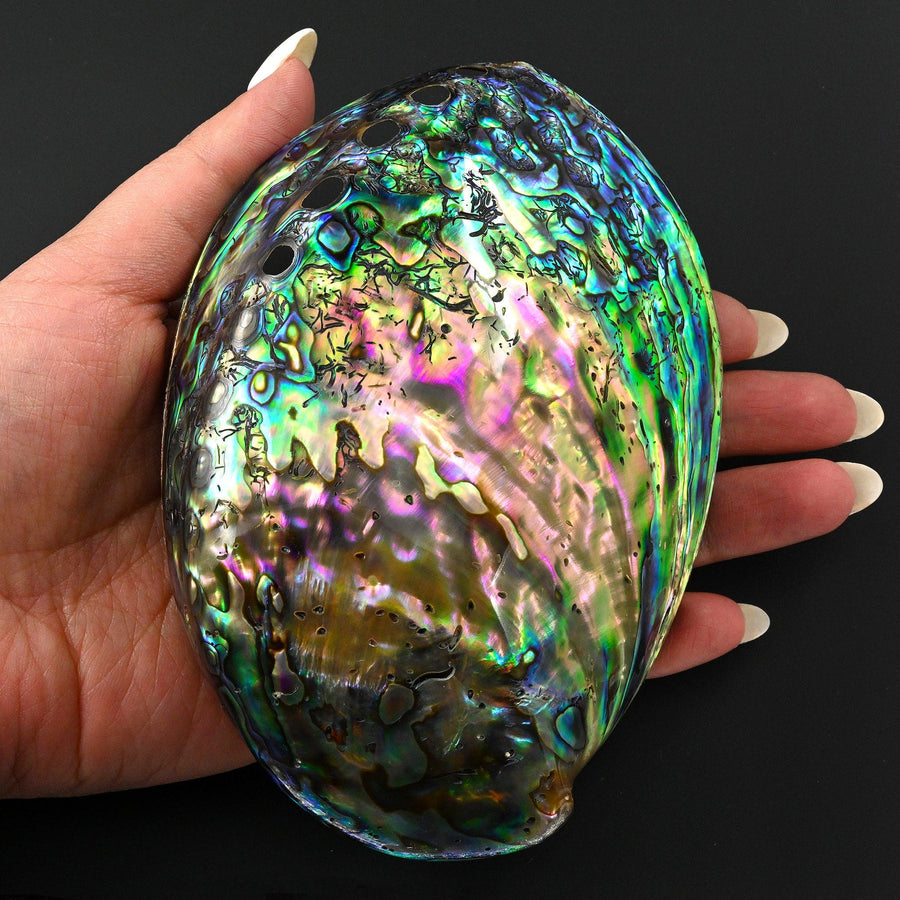 AAA+ Natural Abalone Shell Dish Rainbow Iridescence Ritual Decor Beach House Seashell