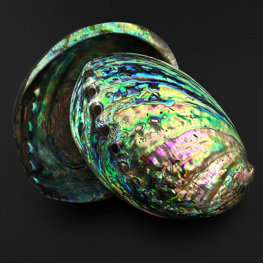 AAA+ Natural Abalone Shell Dish Rainbow Iridescence Ritual Decor Beach House Seashell
