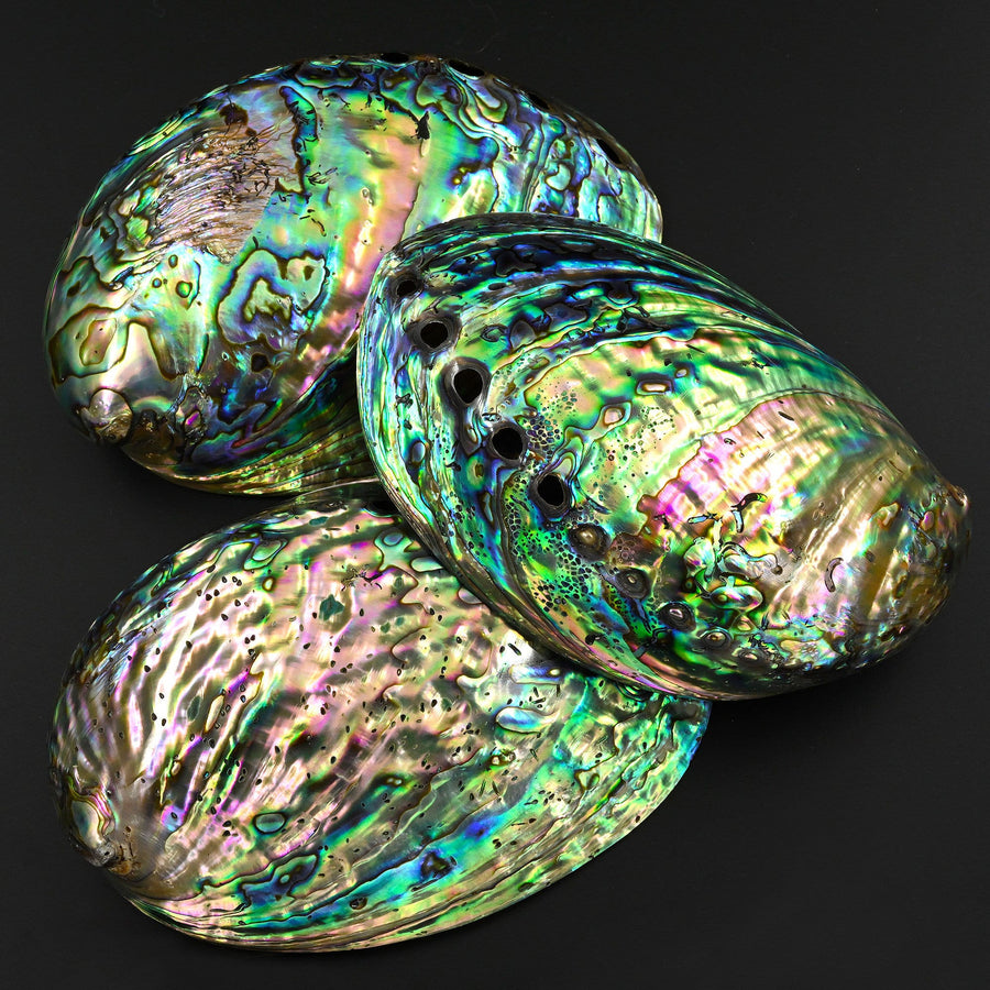 AAA+ Natural Abalone Shell Dish Rainbow Iridescence Ritual Decor Beach House Seashell