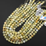 Rare Faceted Natural Yellow Aquamarine Heliodor Coin 10mm Beads 15.5" Strand