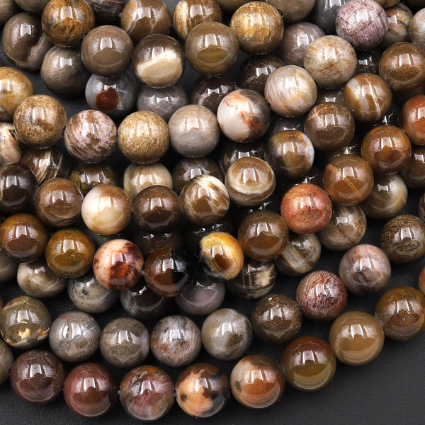 Natural Brown Petrified Wood Beads 6mm Smooth Round Beads 15.5" Strand