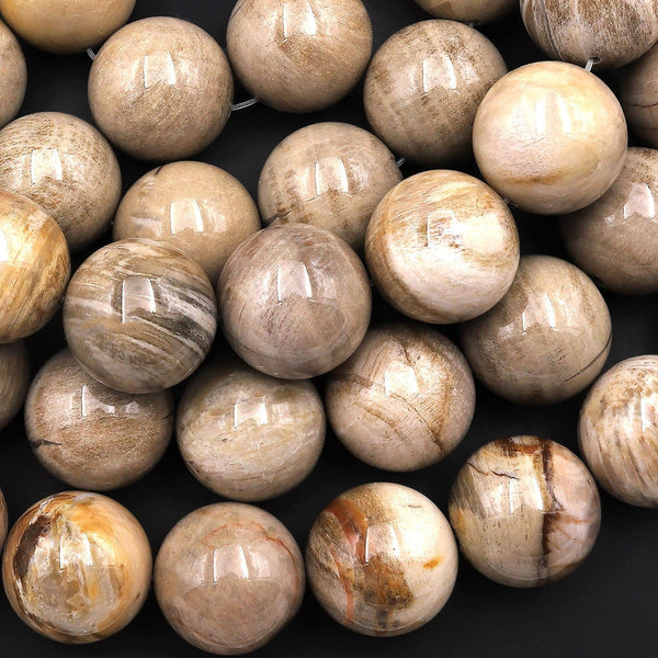 Large Natural Petrified Wood Beads Fossil 16mm 18mm Round Beads Earthy Beige Gemstone 15.5" Strand