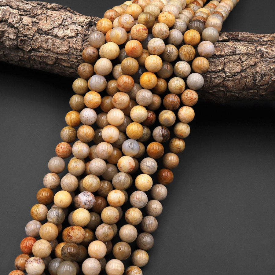 Natural Fossil Coral Round Beads 4mm 5mm 6mm 7mm 8mm 9mm 10mm 12mm Vibrant Orange Brown Tan Beige Beads 15.5" Strand
