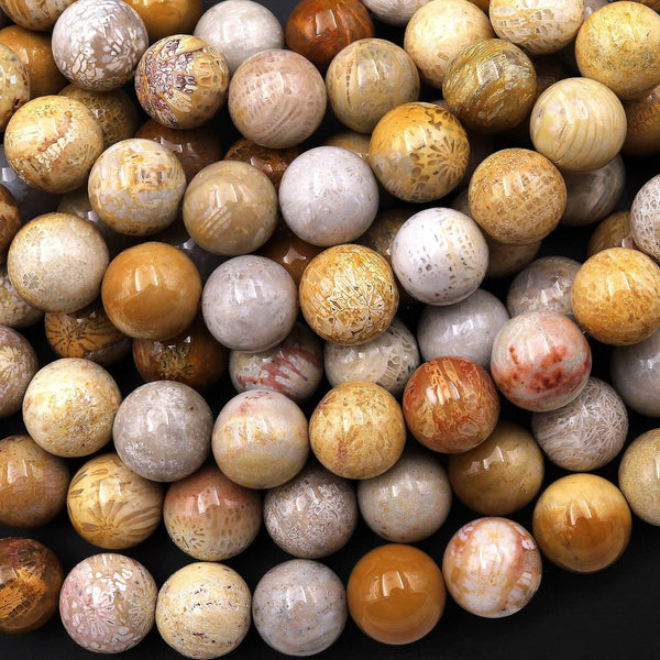 Natural Fossil Coral Round Beads 6mm 8mm 9mm 10mm 12mm Brown Gray Tan Beige Beads 15.5" Strand
