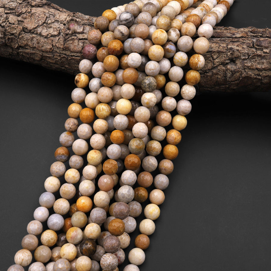Faceted Natural Fossil Coral Round Beads 6mm 8mm 10mm 12mm Brown Tan Beige Beads 15.5" Strand