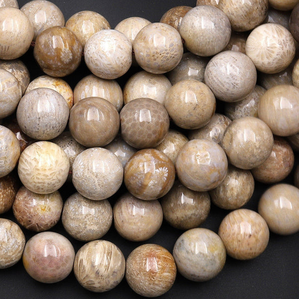 Large Natural Fossil Coral Beads Round 12mm Gemstone 8" Strand