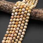 AAA Natural Fossil Coral Round Beads 9mm 10mm Golden Brown Tan Beige Beads 15.5" Strand