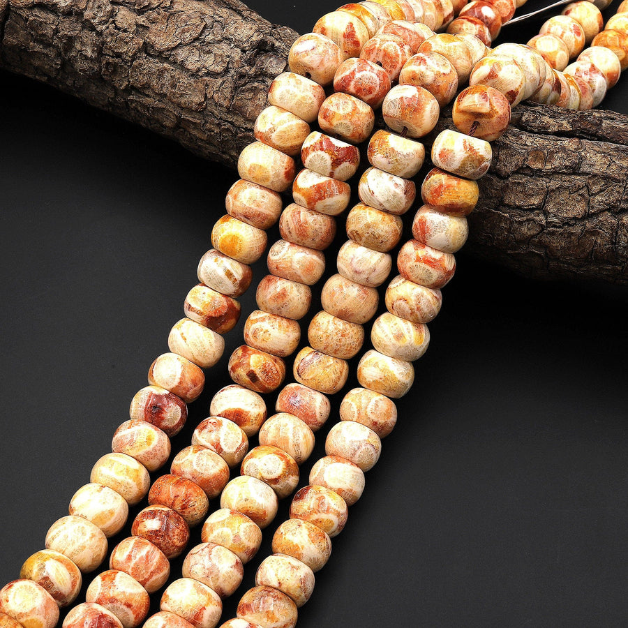 AAA Natural Fossil Coral Smooth Thick Rondelle Beads 12mm Orange Red Golden Brown Beige Tan Yellow Gemstone 15.5" Strand