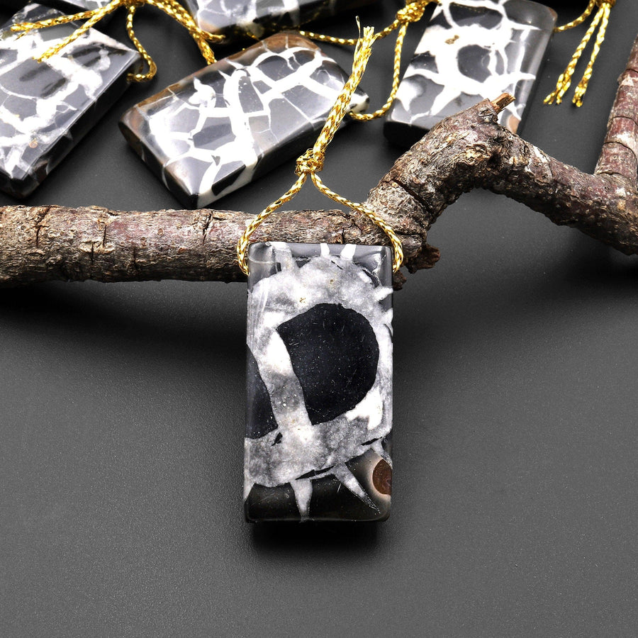 Natural Septarian Fossil Rectangle Pendant Top Side Drilled Gemstone