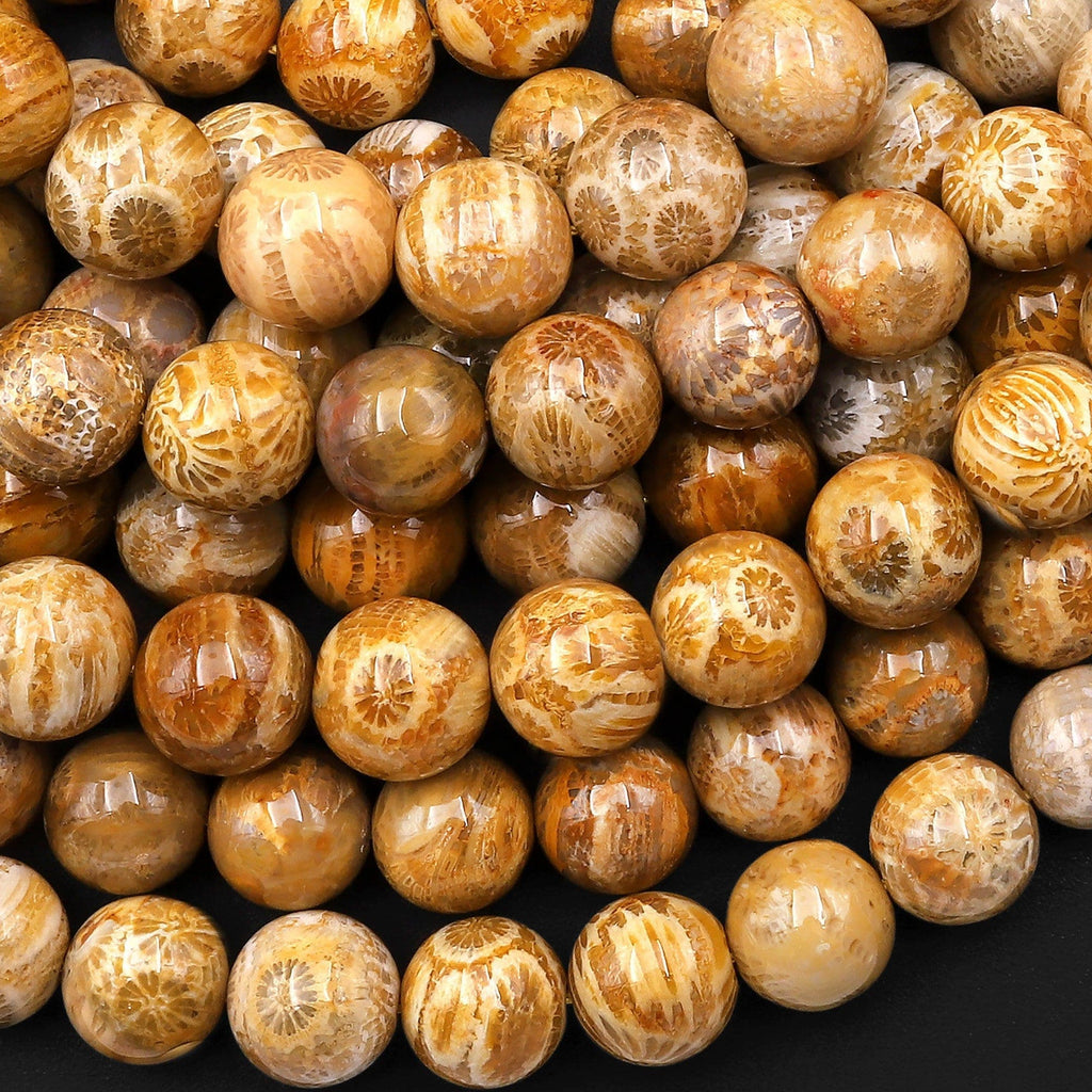 AAA Natural Fossil Coral Round Beads 8mm 10mm Golden Brown Tan Beads 15.5" Strand