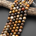 AAA Natural Petrified Wood Beads Fossil 14mm Earthy Brown Gemstone 15.5" Strand