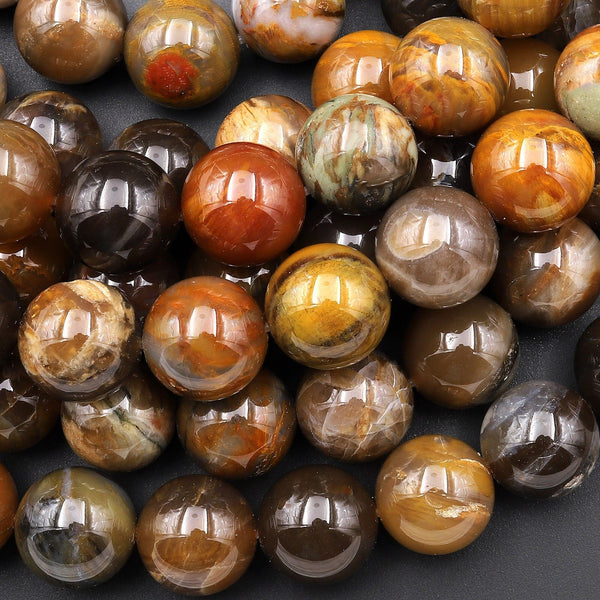 AAA Natural Petrified Wood Beads Fossil 14mm Earthy Brown Gemstone 15.5" Strand