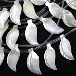 AAA Iridescent Carved Natural White Mother of Pearl Long Leaf Beads