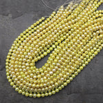 Yellow Freshwater Pearl 6mm Off Round Beads 15.5" Strand