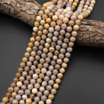 Extremely Rare Agatized Fossil Coral Round 8mm 9mm Beads From Indonesia Gemmy Beige Yellow Brown Gemstone 15.5" Strand