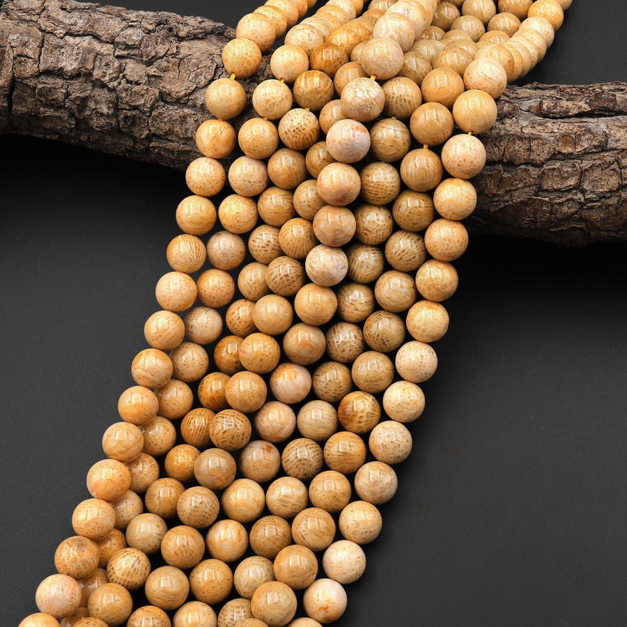 AAA Natural Fossil Coral Round Beads 9mm 10mm Yellow Beads 15.5" Strand