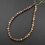Extremely Rare Agatized Fossil Coral Round 8mm Beads From Indonesia Gemmy Translucent Gemstone 15.5" Strand