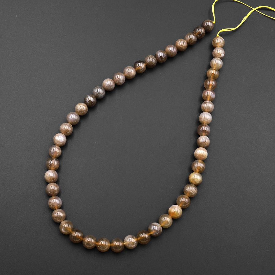 Extremely Rare Agatized Fossil Coral Round 8mm Beads From Indonesia Gemmy Translucent Gemstone 15.5" Strand