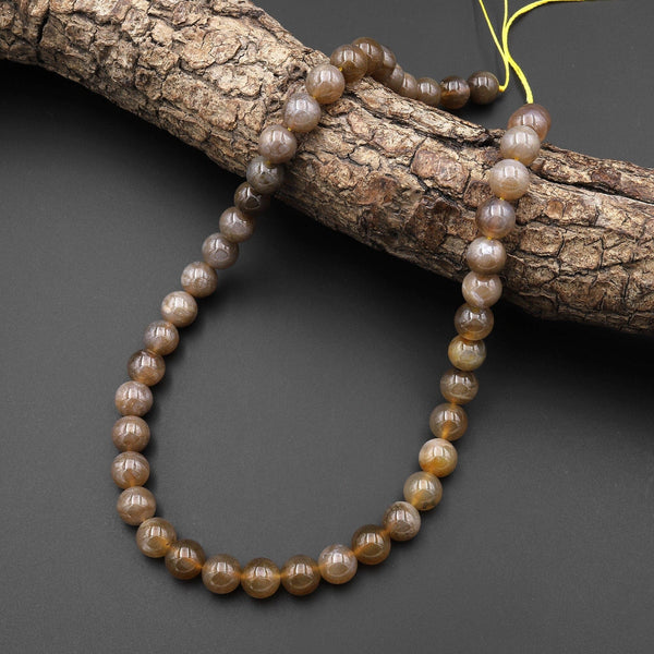 Extremely Rare Agatized Fossil Coral Round 8mm Beads From Indonesia Gemmy Translucent Gemstone 15.5" Strand