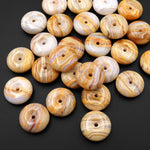 AAA Natural Mexican Crazy Lace Donut Pendant Focal Bead 20mm 24mm