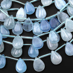 Natural Blue Aquamarine Smooth Teardrop Beads Good for Earrings 15.5" Strand