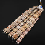 Double Drilled Natural Soft Beige Gray Fossil Coral Curved Rectangle Bracelet Gemstone Beads 8" Strand