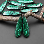 Natural Malachite Earring Butterfly Wing Teardrop Pair Drilled Matched Gemstone Beads