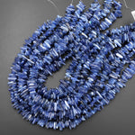 Natural Blue Kyanite Freeform Long Thin Spike Beads Center Drilled 15.5" Strand