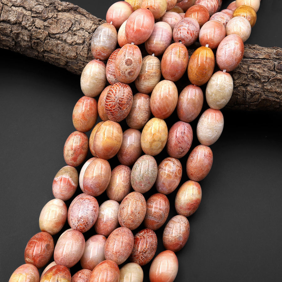 Rare Natural Salmon Pink Peach Fossil Coral Beads Barrel 20mm Gemstone 15.5" Strand