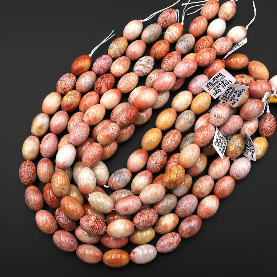 Rare Natural Salmon Pink Peach Fossil Coral Beads Barrel 20mm Gemstone 15.5" Strand