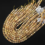 Natural Golden Rutile Quartz 6mm 8mm 10mm Round Beads Tons of Sharp Rutile Hair Needle 15.5" Strand