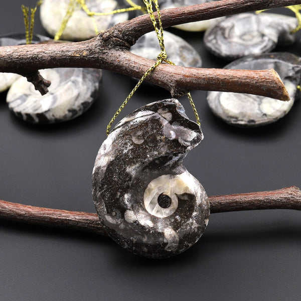 Natural Ammonite Pendants Top Side Drilled Ancient Fossil Focal Beads A3