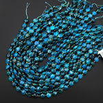 Natural Teal Blue Apatite Smooth Coin 10mm Beads 15.5" Strand