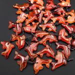 Hand-Carved Natural Orange Red Carnelian Agate Dolphin Pendant