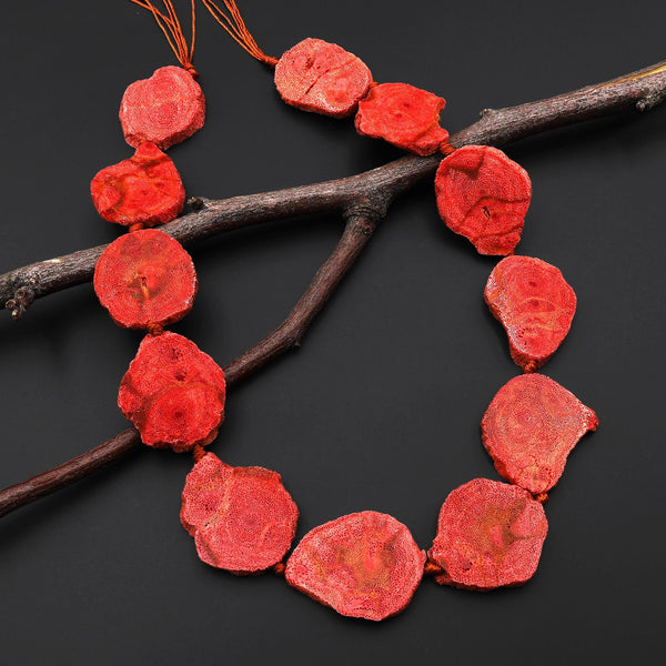 Genuine Natural Red Sponge Coral Freeform Slice Beads Organic Look 15.5" Strand A1086