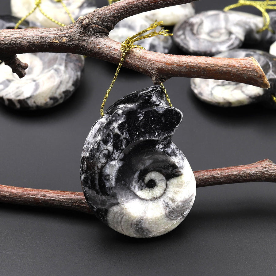 Natural Ammonite Pendants Top Side Drilled Ancient Fossil Focal Beads A1